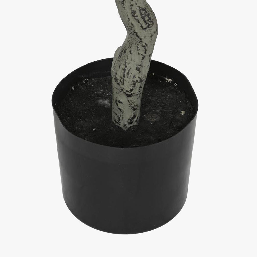 Planta de Eucalipto 220cm EVERLEAF - Gato Preto