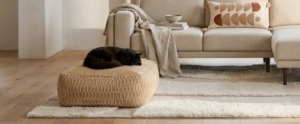 Casa pet friendly: como criar uma casa bonita, funcional e confortável para viver com o seu animal - Gato Preto