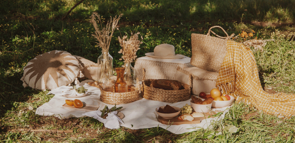 Celebre o Dia da Mãe com um piquenique especial - Gato Preto