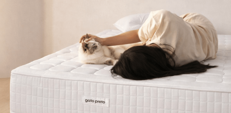 Colchões: Como escolher o modelo ideal? - Gato Preto