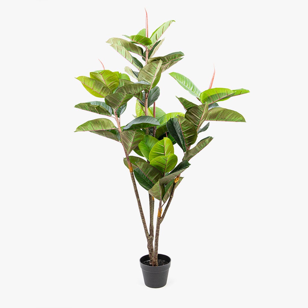 Planta Artificial Árvore da Borracha 150cm SAMATRA
