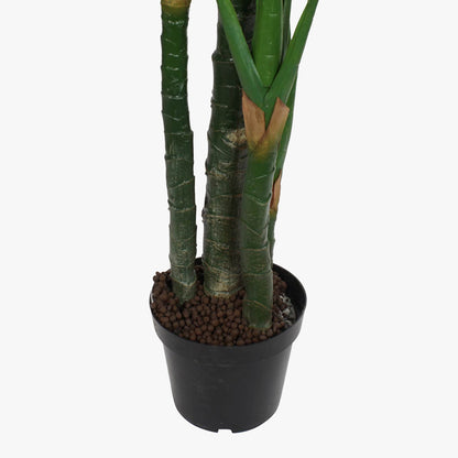 Planta Costela de Adão 200cm EVERLEAF