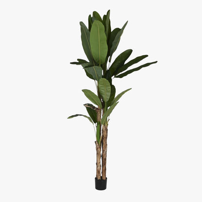 Planta Bananeira 290cm EVERLEAF