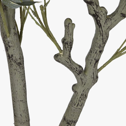 Planta de Eucalipto 220cm EVERLEAF