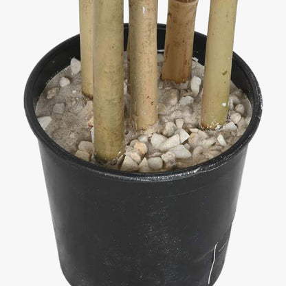 Árvore de Bambu 80x80x180cm EVERLEAF