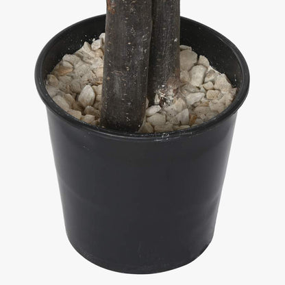 Árvore Ficus 180cm EVERLEAF