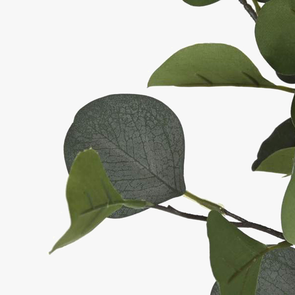 Árvore de Eucalipto 180cm EVERLEAF