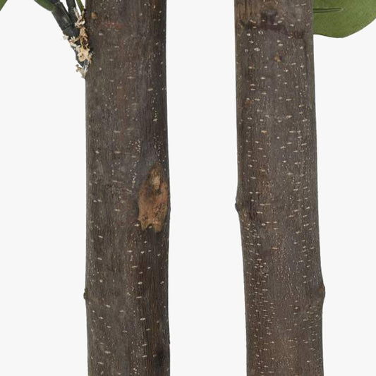 Árvore de Eucalipto 180cm EVERLEAF