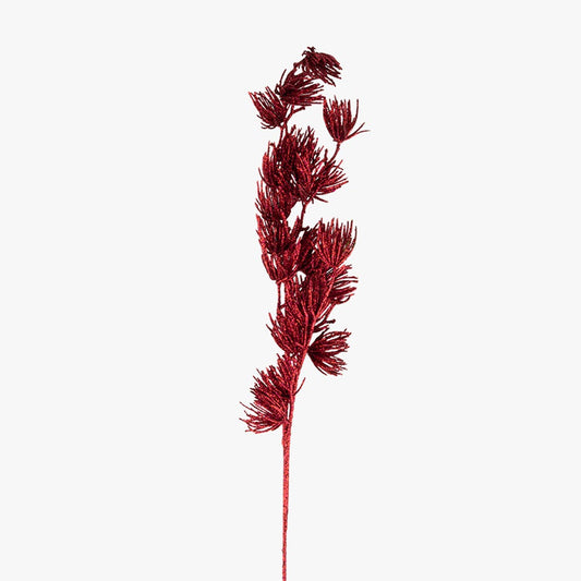 Ramas de algas VM 71cm