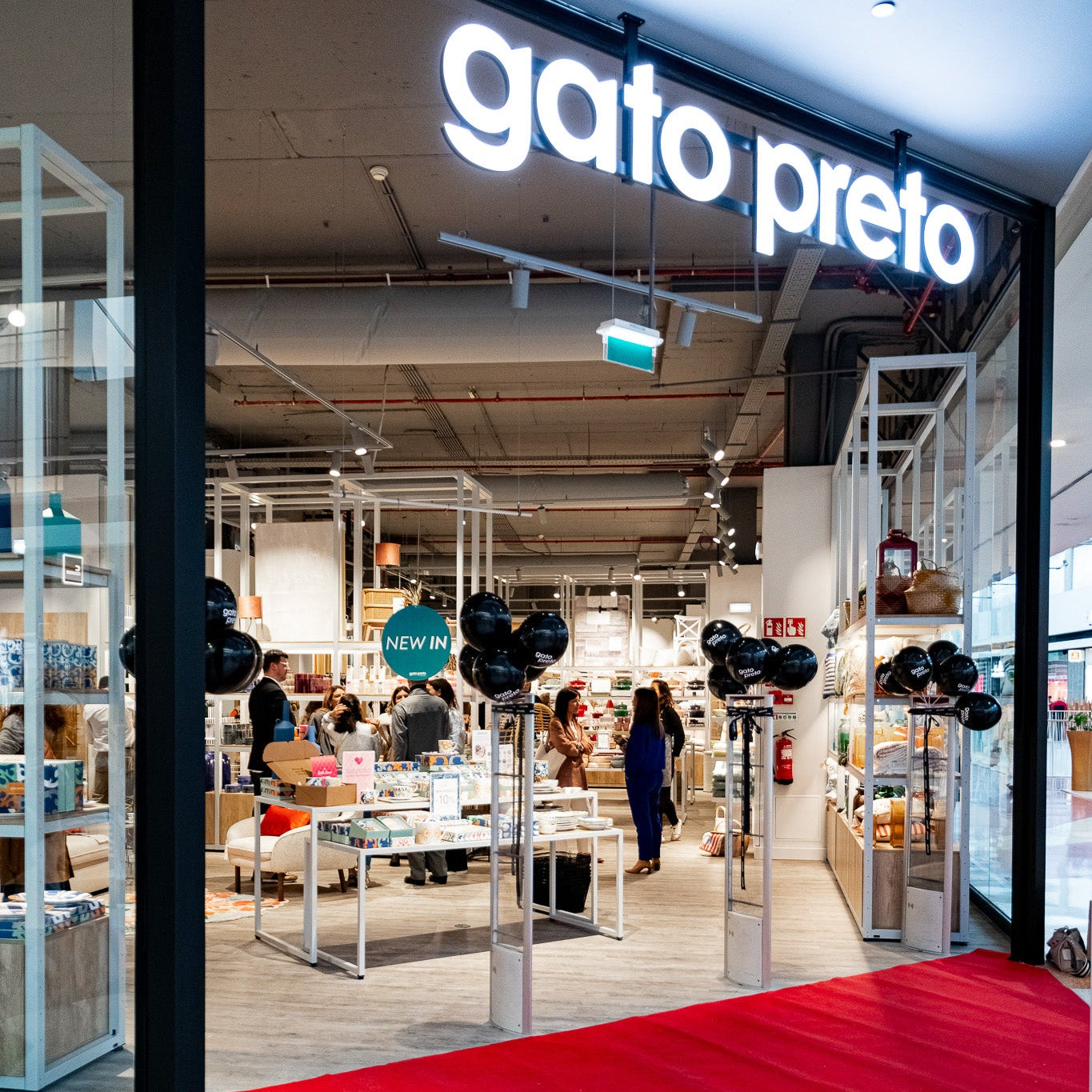 Gato Preto