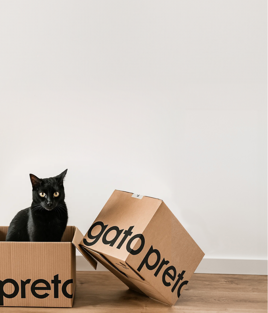 Gato Preto