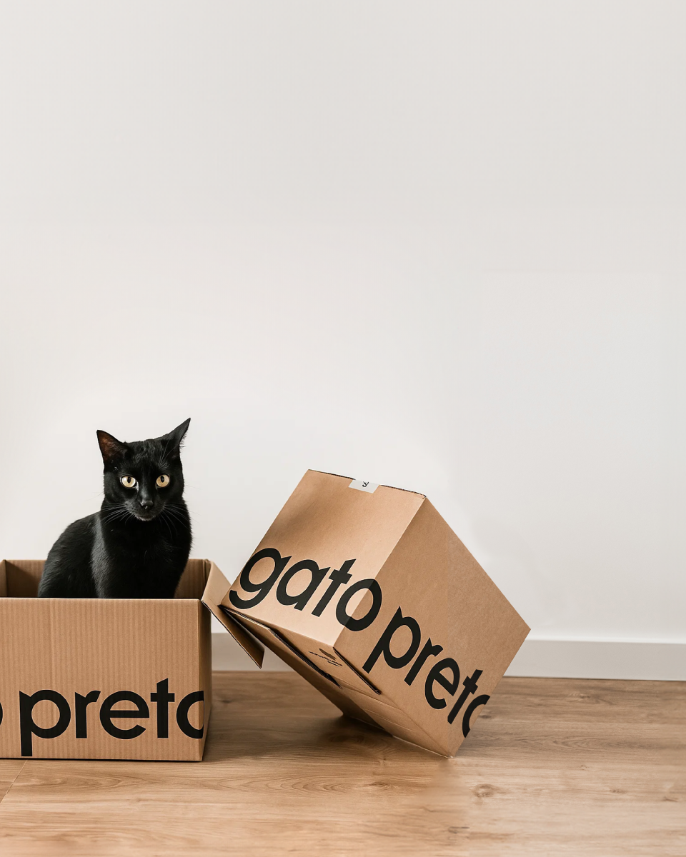 Gato Preto