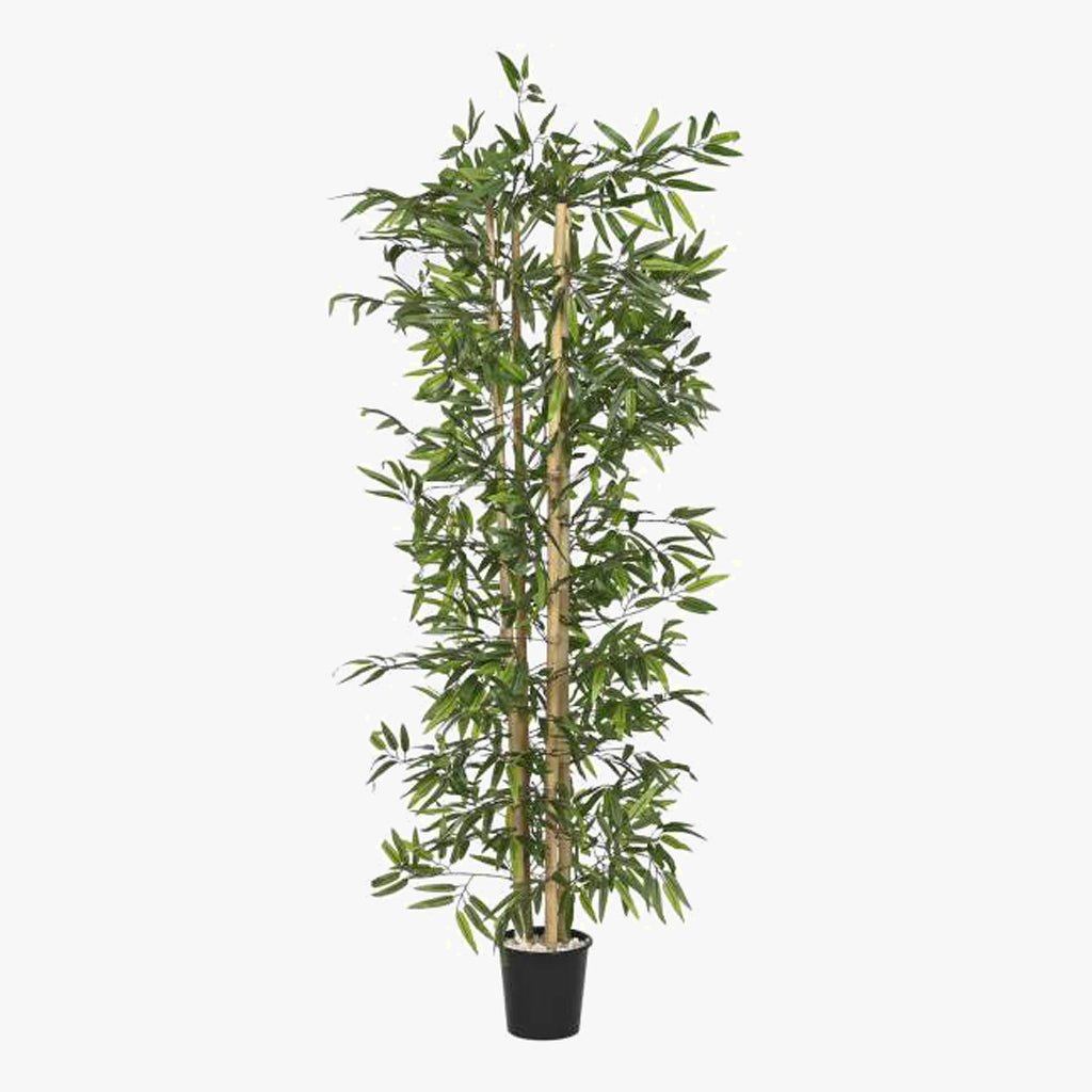 Árvore de Bambu 40x40x180cm - Gato Preto