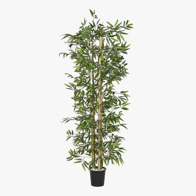 Árvore de Bambu 40x40x180cm - Gato Preto