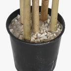 Árvore de Bambu 80x80x180cm EVERLEAF - Gato Preto