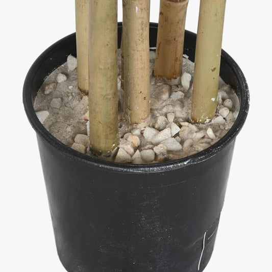 Árvore de Bambu 80x80x180cm EVERLEAF - Gato Preto