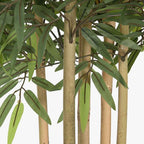 Árvore de Bambu 80x80x180cm EVERLEAF - Gato Preto