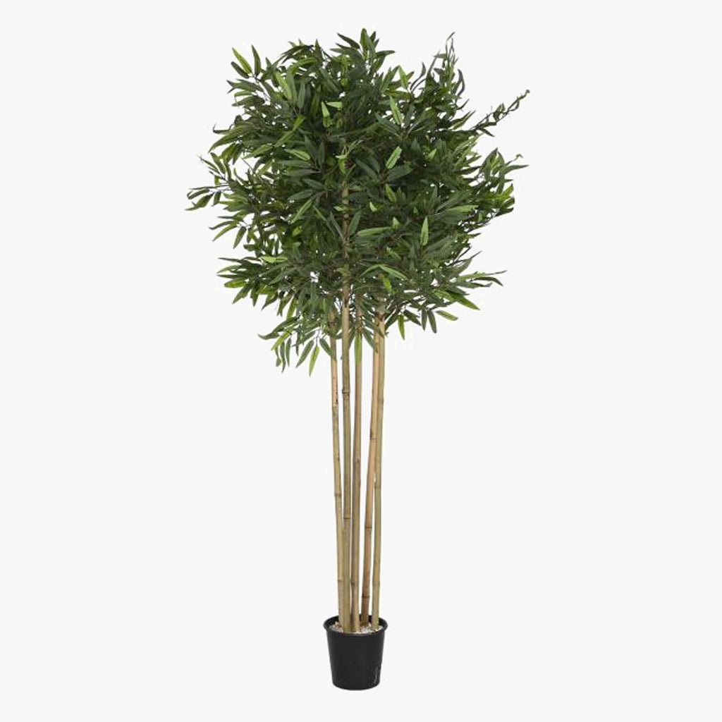 Árvore de Bambu 80x80x180cm EVERLEAF - Gato Preto