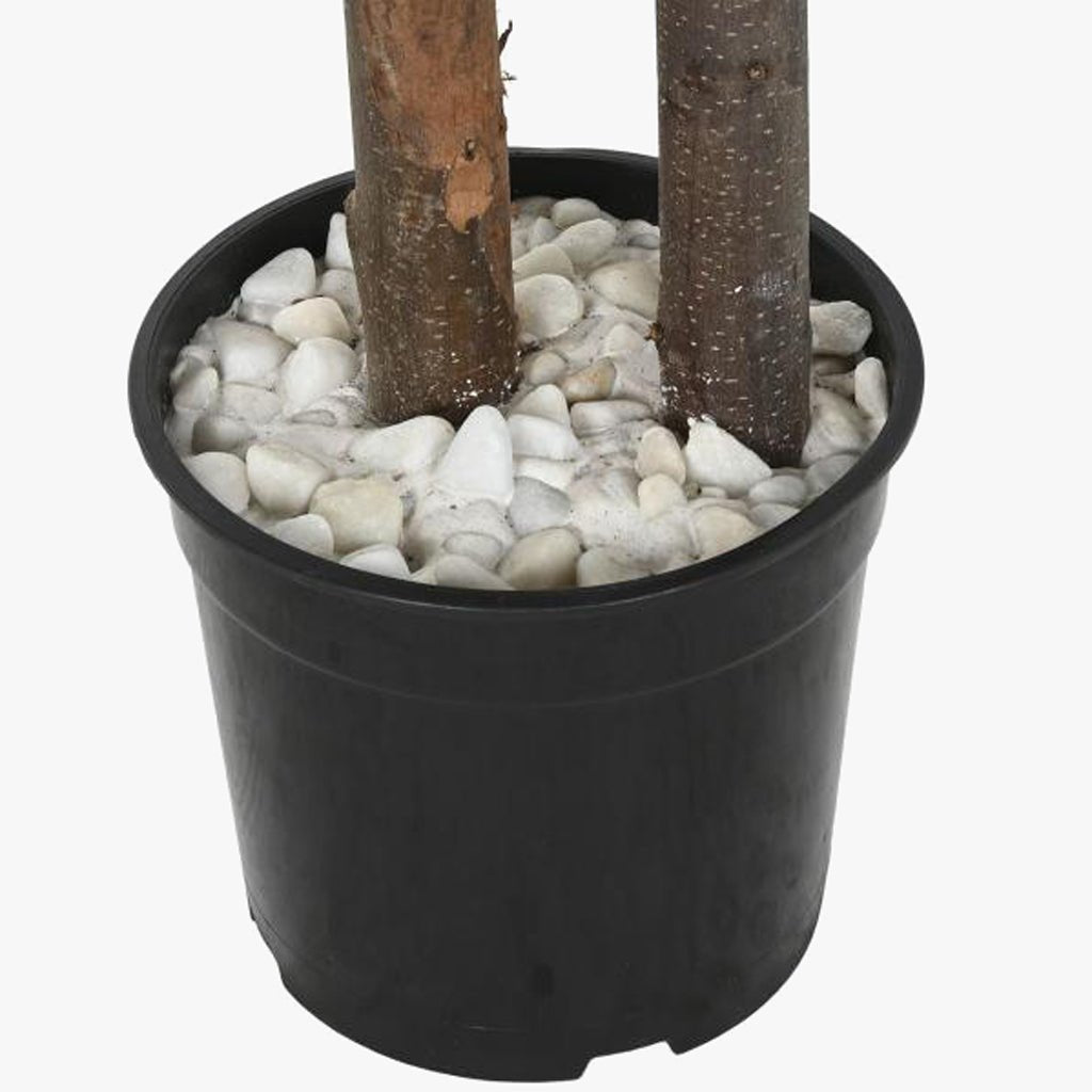 Árvore de Eucalipto 180cm EVERLEAF - Gato Preto