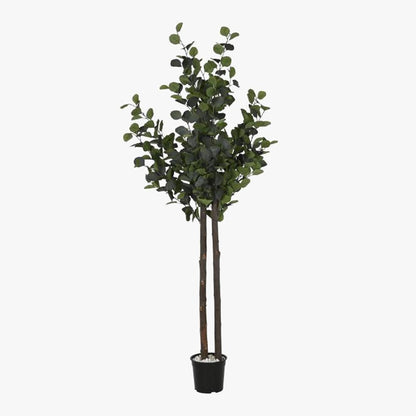 Árvore de Eucalipto 180cm EVERLEAF - Gato Preto