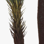 Árvore de Sagu 170cm EVERLEAF - Gato Preto