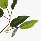 Árvore Ficus 180cm EVERLEAF - Gato Preto