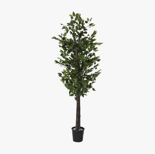 Árvore Ficus 180cm EVERLEAF - Gato Preto