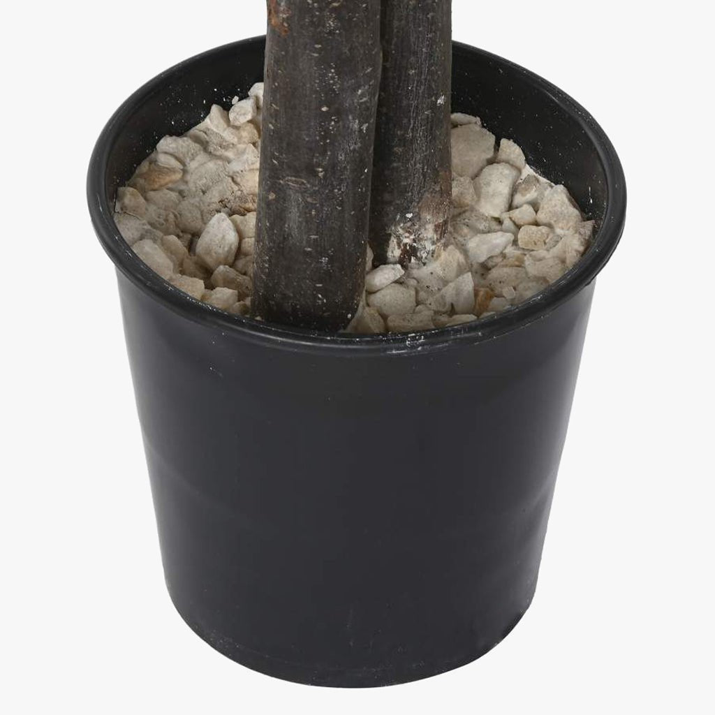 Árvore Ficus 180cm EVERLEAF - Gato Preto