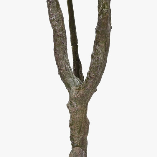 Árvore Flor Jasmim 150cm EVERLEAF - Gato Preto