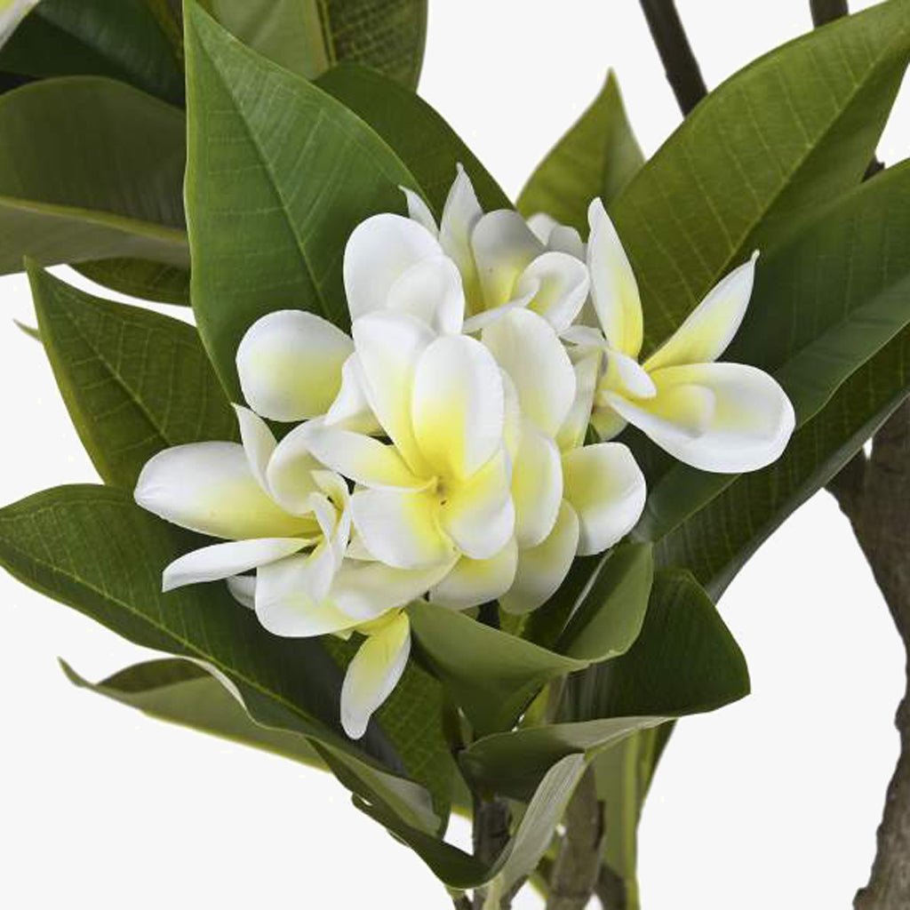 Árvore Flor Jasmim 150cm EVERLEAF - Gato Preto