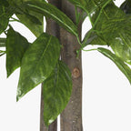 Árvore Mangueira 180cm EVERLEAF - Gato Preto