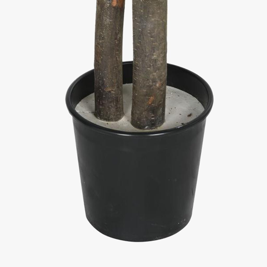 Árvore Mangueira 180cm EVERLEAF - Gato Preto