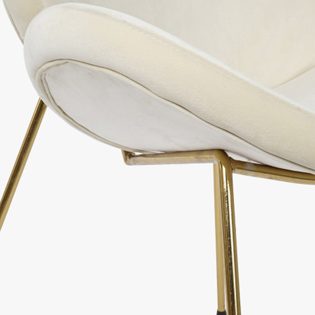 Cadeira Curva Bege | Veludo & Pés Dourados | Velisse - Gato Preto