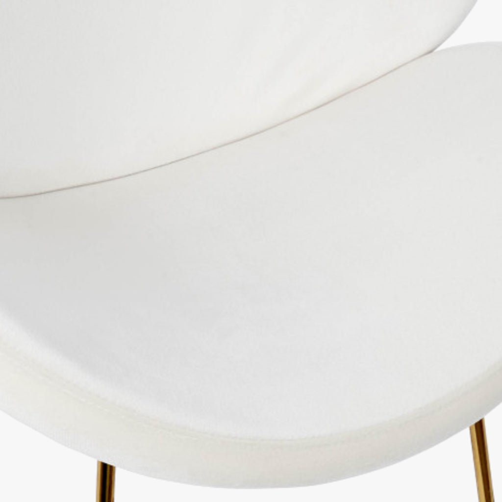 Cadeira Curva Branca | Veludo & Pés Dourados | Velisse - Gato Preto