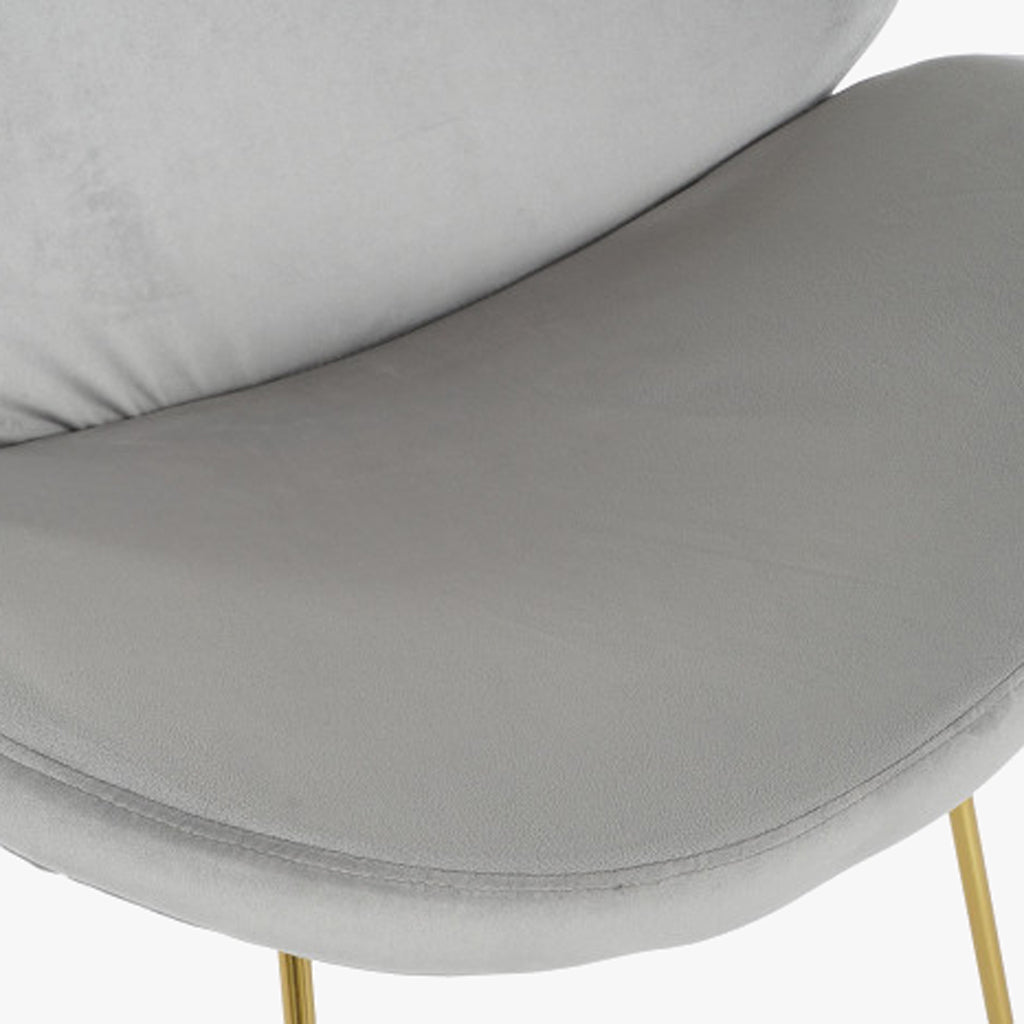 Cadeira Curva Cinza | Veludo & Pés Dourados | Velisse - Gato Preto