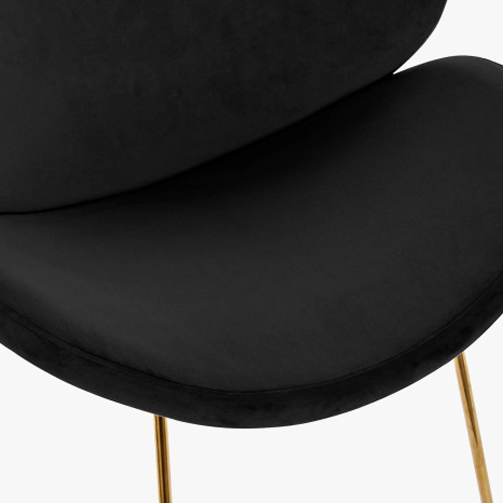 Cadeira Curva Preta | Veludo & Pés Dourados | Velisse - Gato Preto