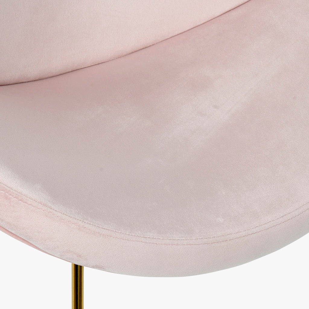 Cadeira Curva Rosa | Veludo & Pés Dourados | Velisse - Gato Preto