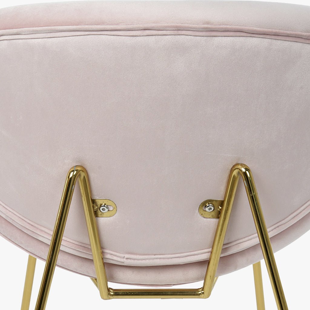 Cadeira Curva Rosa | Veludo & Pés Dourados | Velisse - Gato Preto