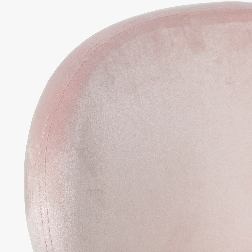 Cadeira Curva Rosa | Veludo & Pés Dourados | Velisse - Gato Preto