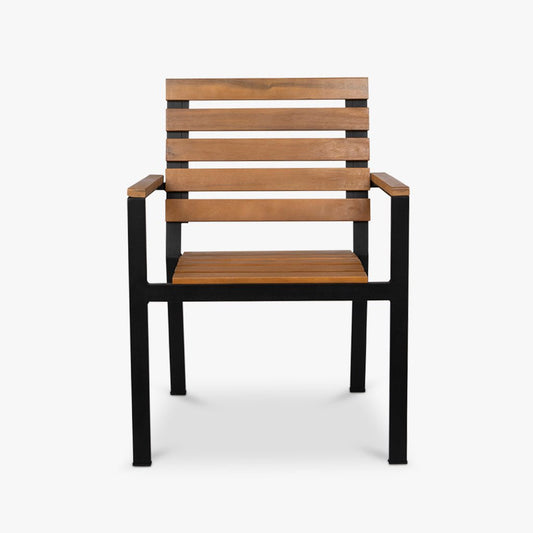 Cadeira de Metal Preto e Madeira ETOSHA - Gato Preto