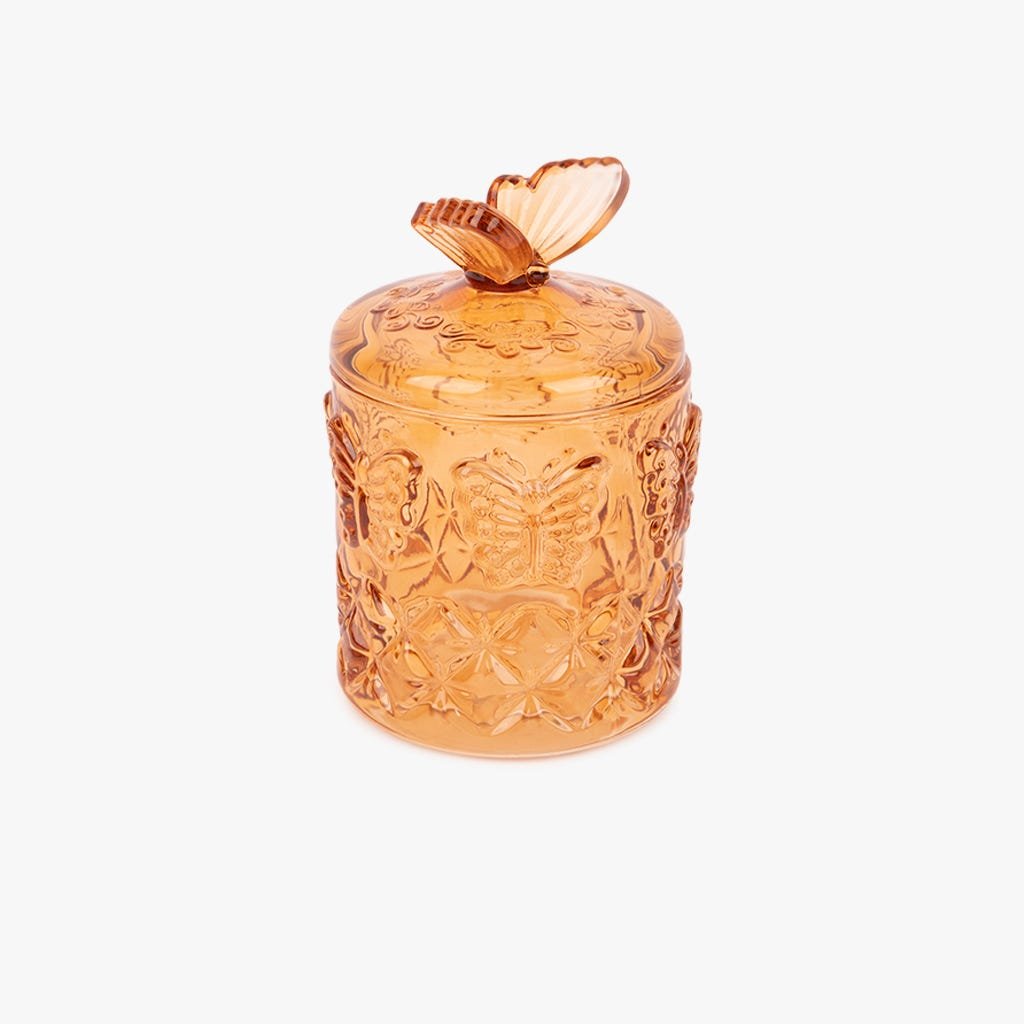 Caixa de Vidro com Borboleta Castanho MIA