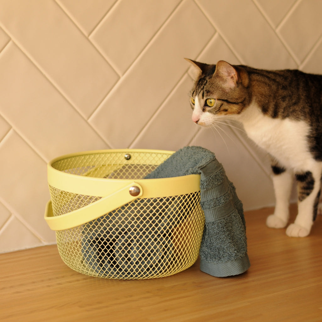 Cesto de Metal Amarelo SUMMER PASTELS - Gato Preto