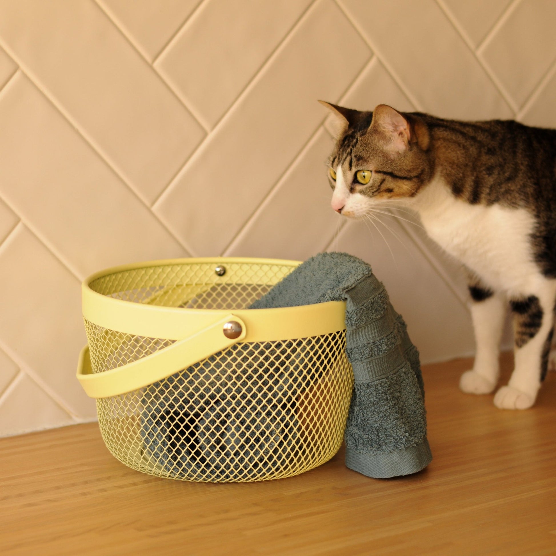 Cesto de Metal Amarelo SUMMER PASTELS - Gato Preto