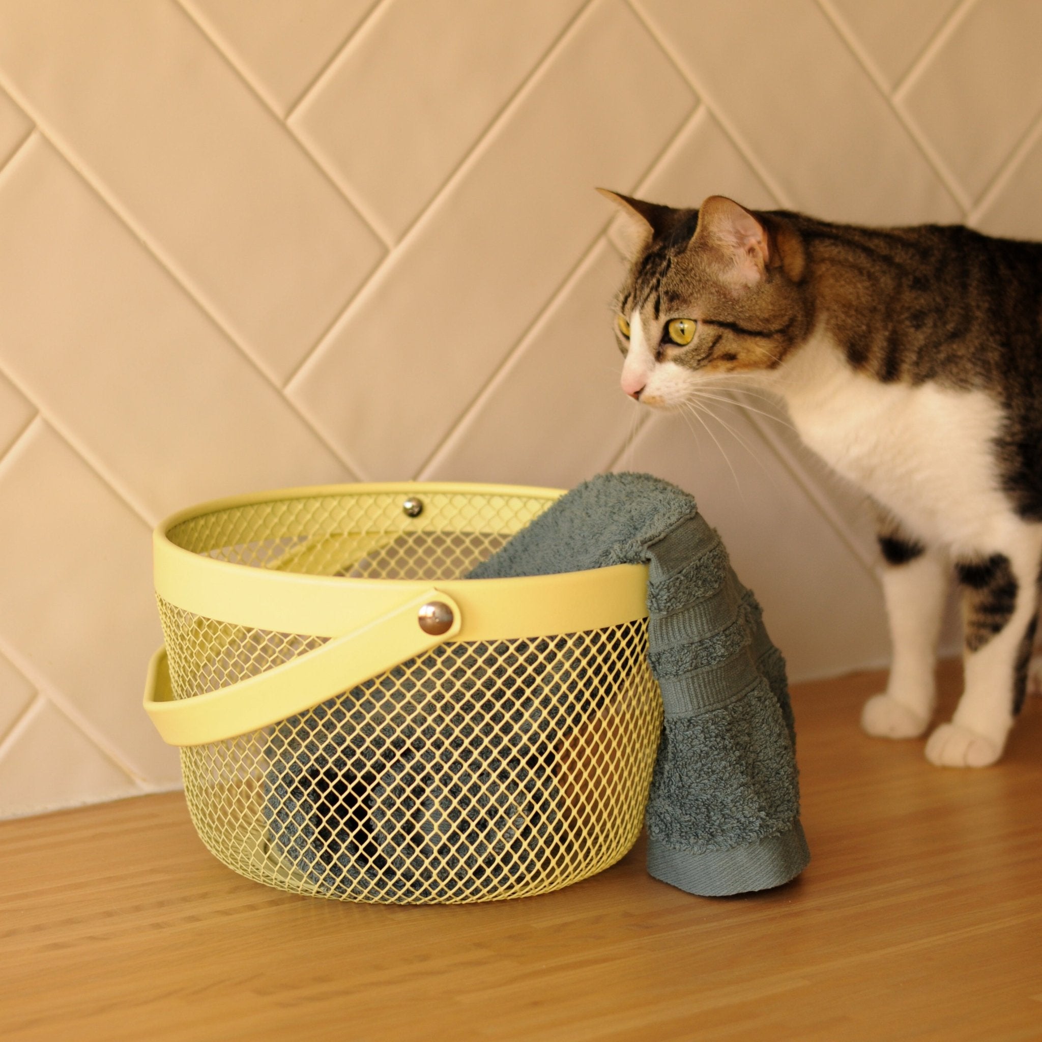 Cesto de Metal Amarelo SUMMER PASTELS - Gato Preto