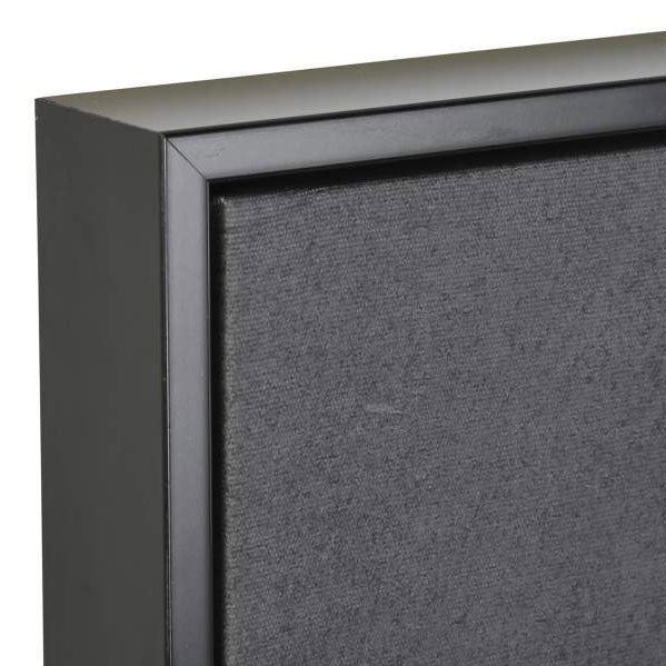 Conjunto de 2 Quadros Natureza Noturna 2A - Gato Preto