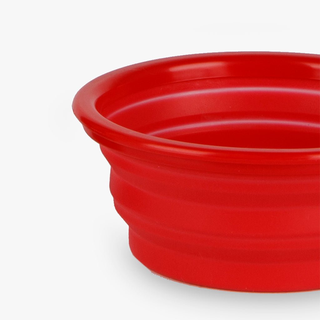 Garrafa com Bebedouro para Animal PAWRENTS - Gato Preto