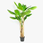 Planta Artificial Bananeira 200cm MUSA - Gato Preto