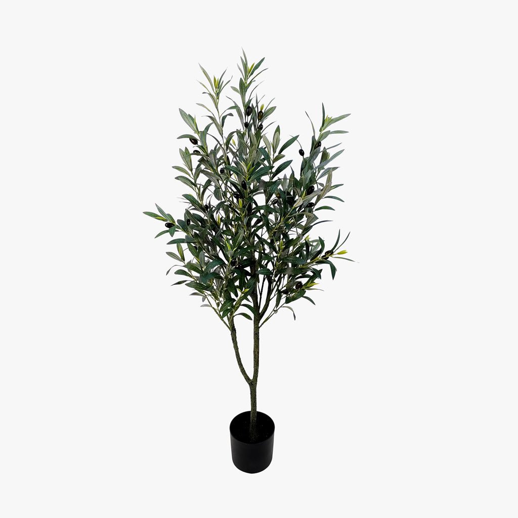 Planta Artificial Oliveira 120cm ANORI - Gato Preto