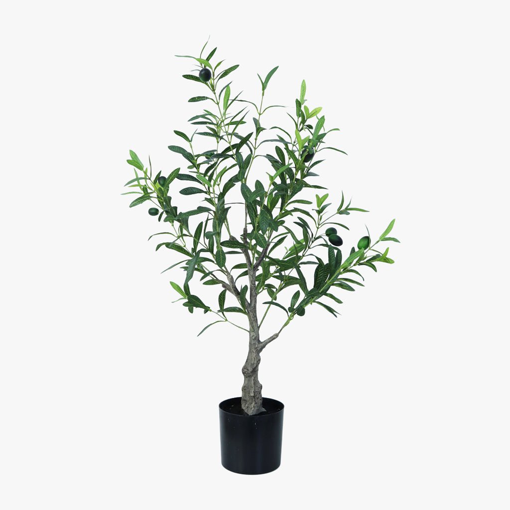 Planta Artificial Oliveira 80cm ANORI - Gato Preto