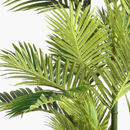 Planta Artificial Palmeira de Areca 170cm PALM - Gato Preto
